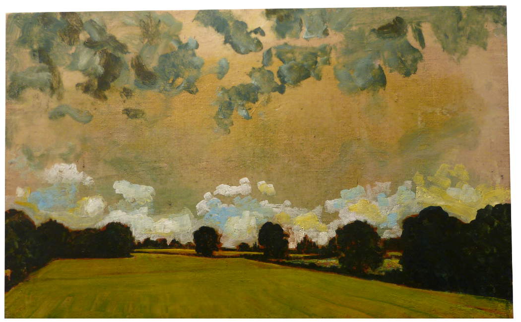 Harry Adams Grey Clouds Over Wild Meadow And Pasture